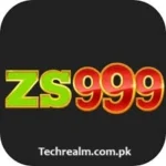 ZS999